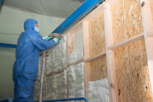 Garage Insulation Installation in Lukachukai, AZ