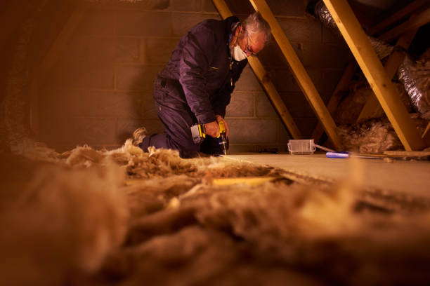 Attic Insulation Near Me in Lukachukai, AZ